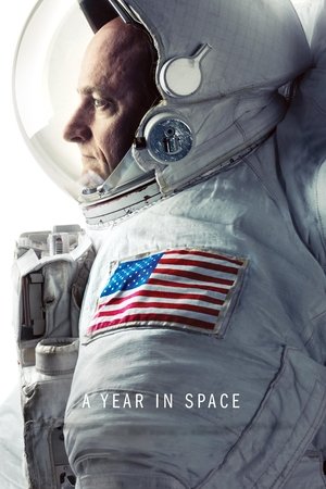 Poster A Year in Space (2016)