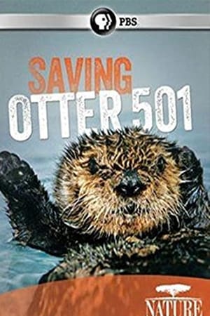 Saving Otter 501 poster