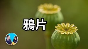 Episode 101