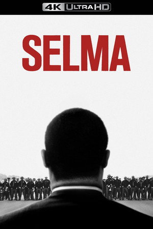 Постер фильма «Сельма (2014)» — (17 из 31)