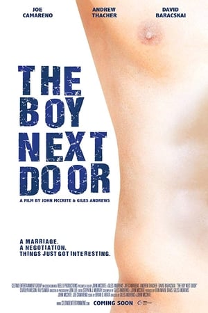 The Boy Next Door poster