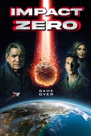 Poster Impact Zéro 2020