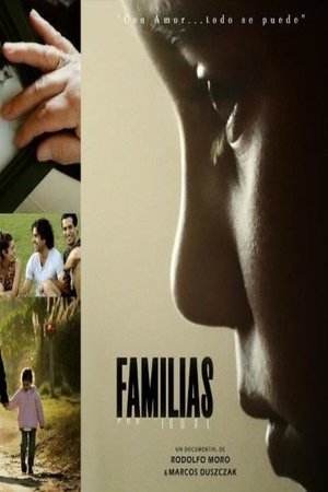 Poster Families Like Yours (2013)