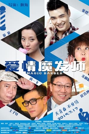 Poster 爱情魔发师 2015