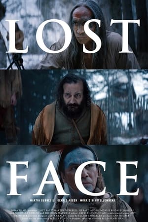 Image Lost Face