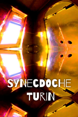 Poster di Synecdoche Turin