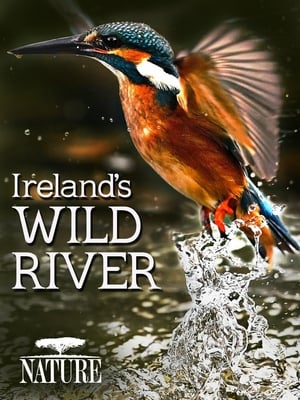 Poster Ireland's Wild River 2014