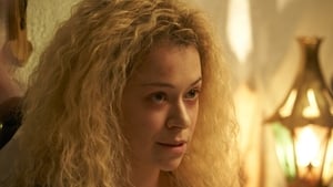 Orphan Black 5×4