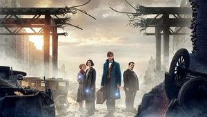Fantastic Beasts and Where to Find Them (Animales fantásticos y dónde encontrarlos)