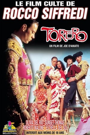 Poster Torero (1996)