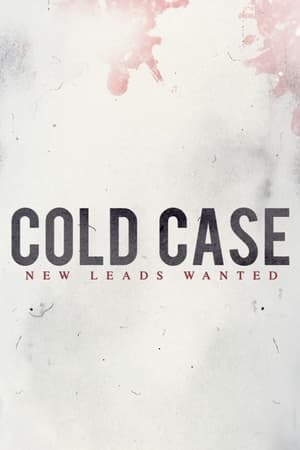 Poster Cold Case 2018