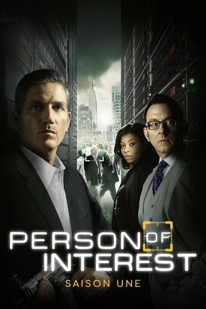 Person of Interest: Saison 1