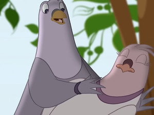 L’oiseau d’Ibrahim (1)
