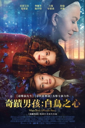 奇蹟男孩：白鳥之心