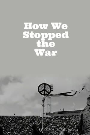 Image How We Stopped the War