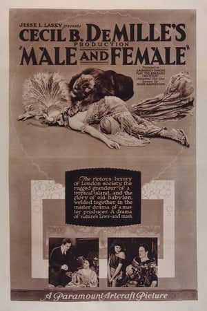 Male and Female poster