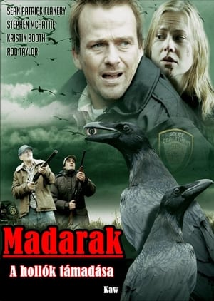 Poster Madarak - A hollók támadása 2007