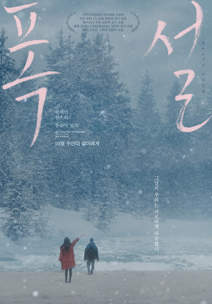 Heavy Snow 23