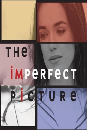 Poster The Imperfect Picture 2021