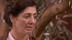 Episodio 66