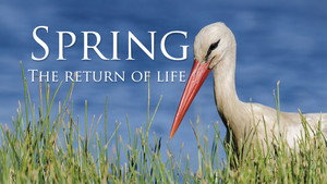 Spring: The Return of Life (2014)