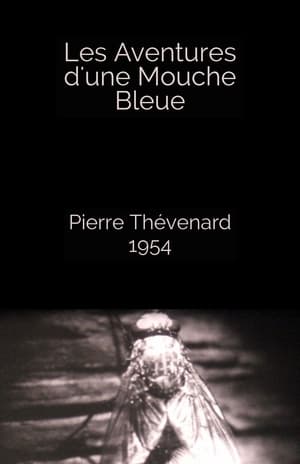 The Adventures of a Blue Fly film complet