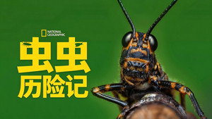 A Real Bug's Life 39