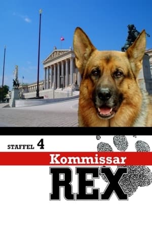Rex, un policía diferente: Temporada 4