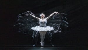 Royal Opera House 2023/24: Swan Lake