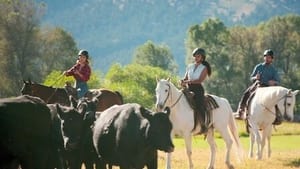 Las casas de vacaciones mas increíbles del Mundo Temporada 1 Capitulo 2