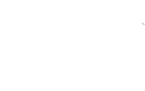 Shaun the Sheep: The Farmer's Llamas