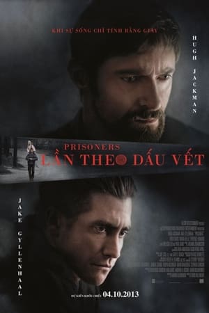 Poster Lần Theo Dấu Vết 2013