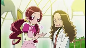 HeartCatch Precure!: 1×2