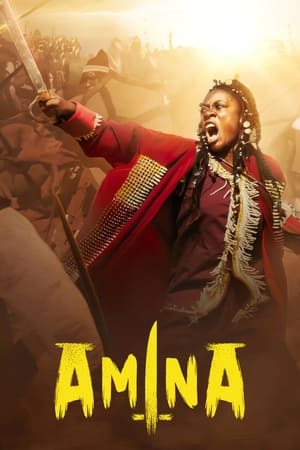 poster Amina