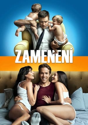 Poster Zamenení 2011