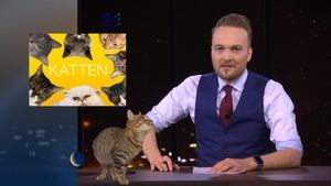 De Avondshow met Arjen Lubach Cats | Alex Ploeg