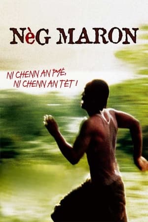 Poster Nèg maron (2005)