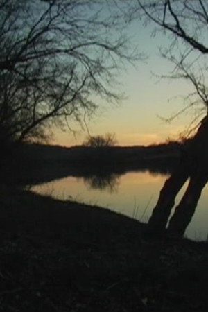 Landscape Tempo 5