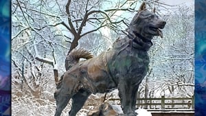 Balto: La Leyenda Del Perro Esquimal Película Completa HD 720p [MEGA] [LATINO] 1995