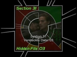 Image Section 31: Hidden File 03 (S05)