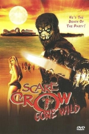 Poster Scarecrow, l'ultime massacre 2004