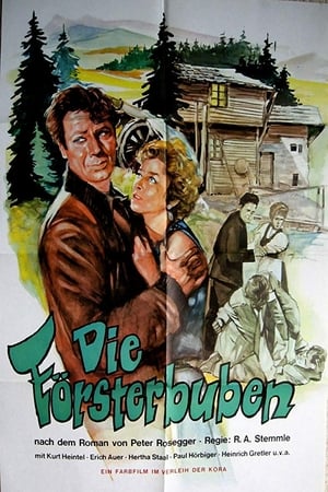 Poster Die Försterbuben (1955)