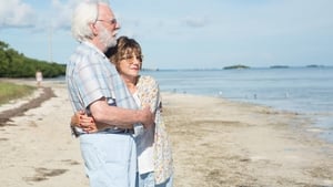 El viaje de sus vidas (The Leisure Seeker)