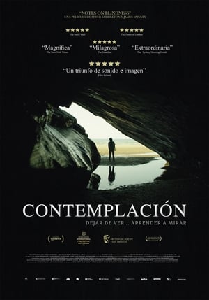 pelicula Contemplación (2016)