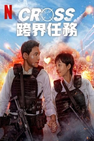 Image 跨界任务