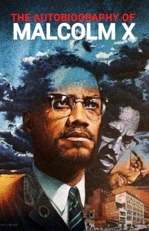 The Autobiography of Malcolm X (2001)