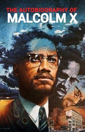 Poster The Autobiography of Malcolm X 2001