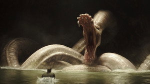 Images posters