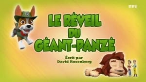 Paw Patrol Helfer auf vier Pfoten: 6×19