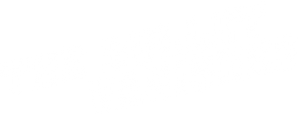 The Bullet Vanishes